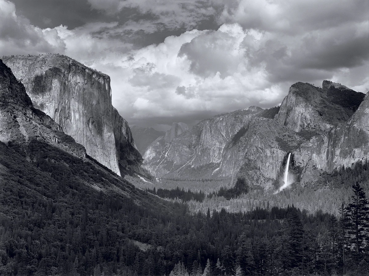 Timeless Photography for Modern Spaces